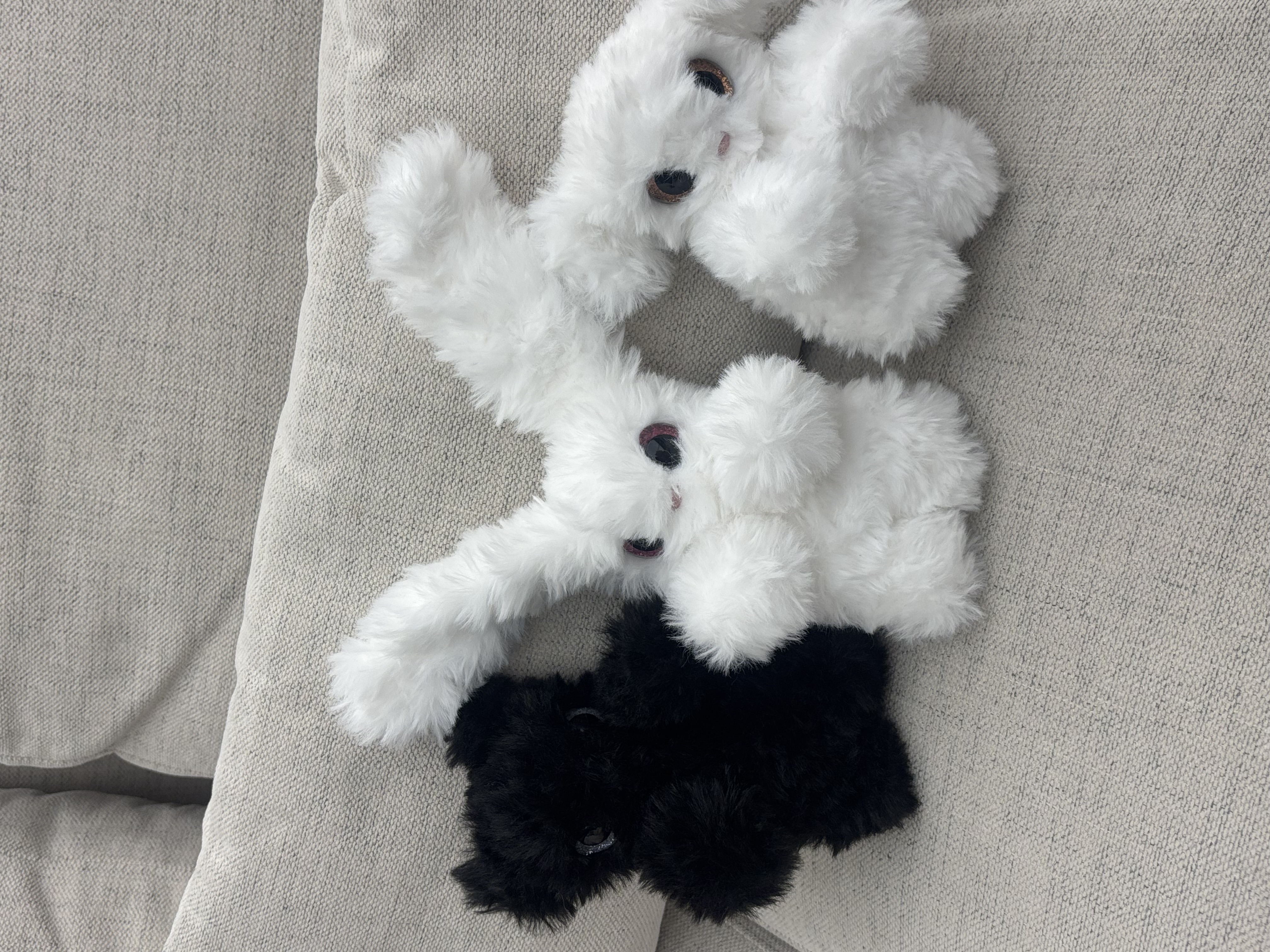 Custom Plushie