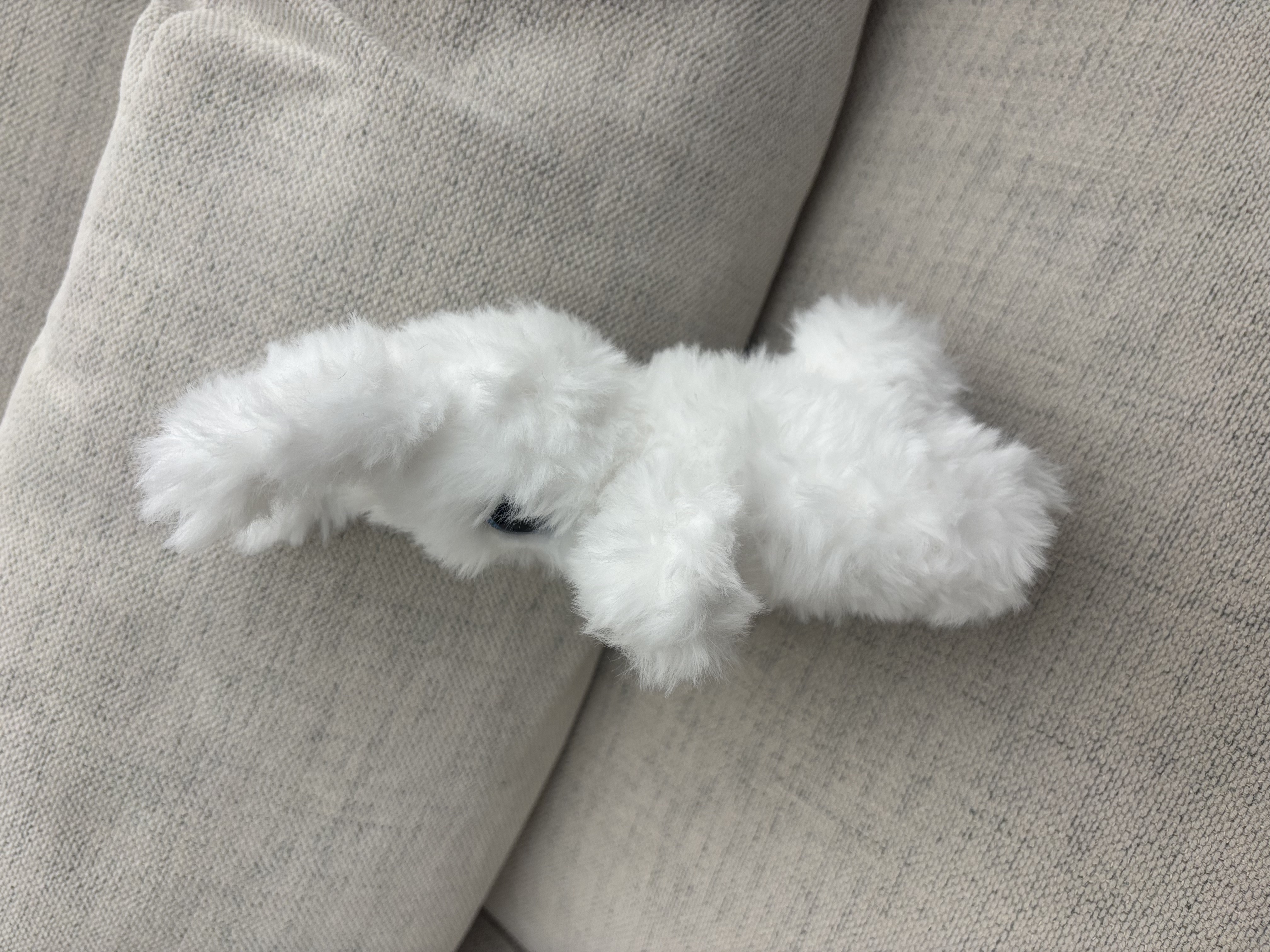 Bunny Blue 3