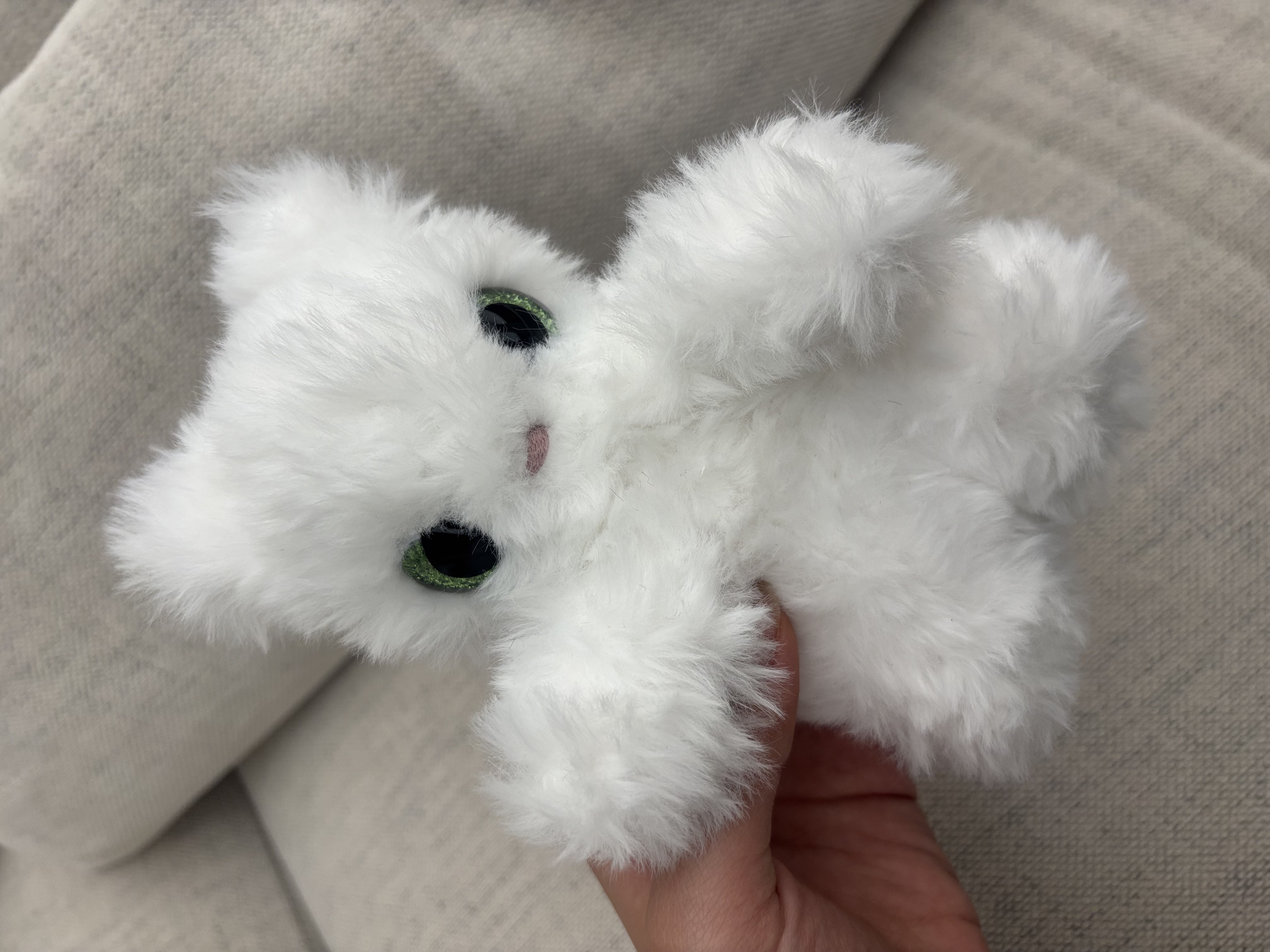Cat Light Green 4