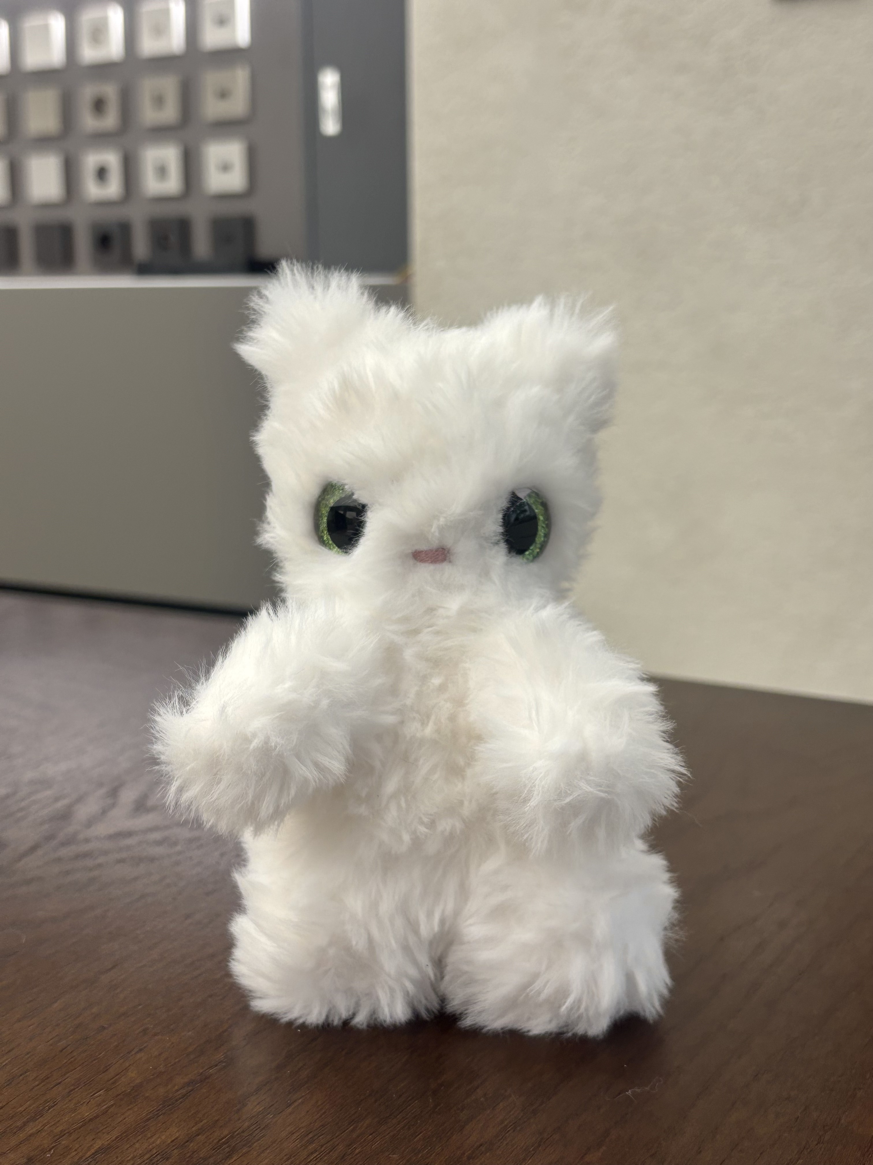 Cat Light Green 7