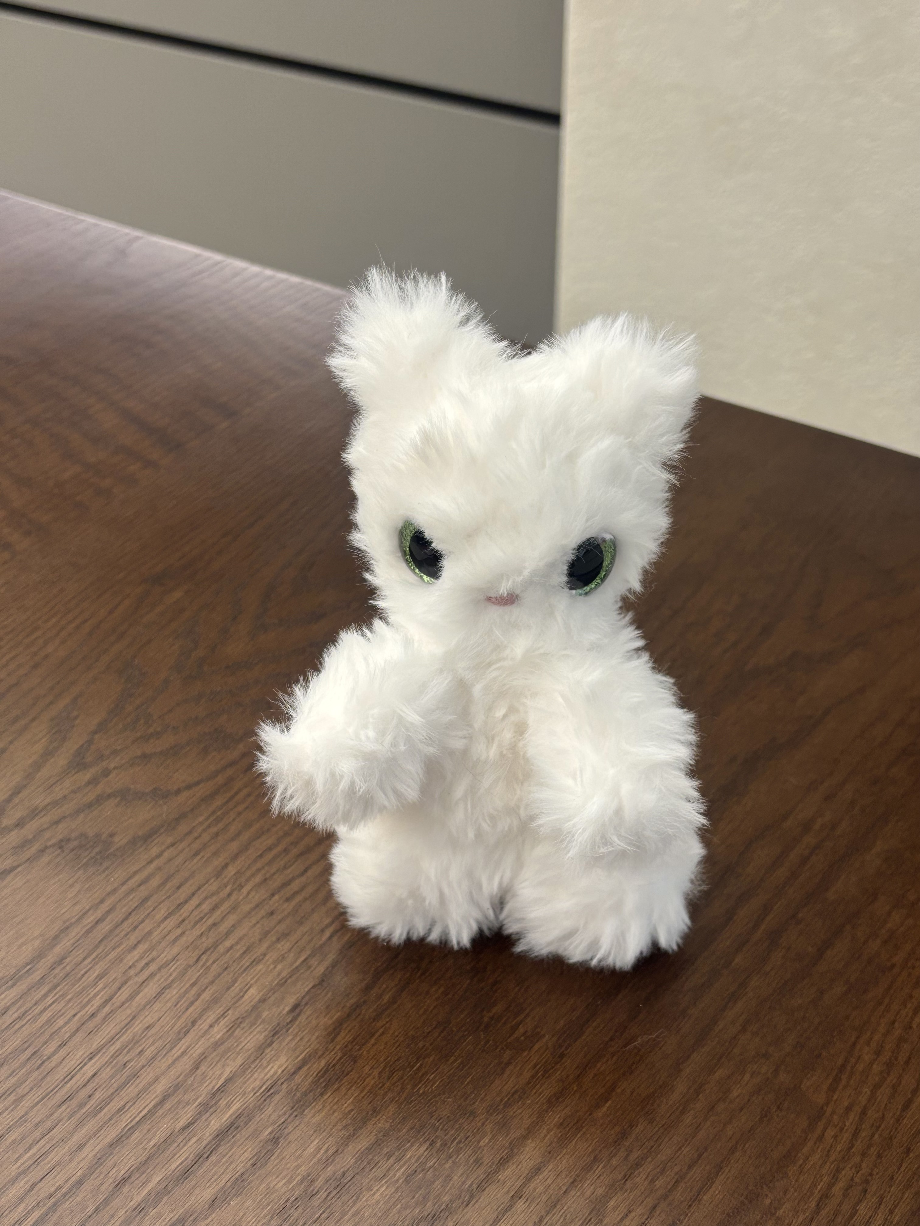 Cat Light Green 8