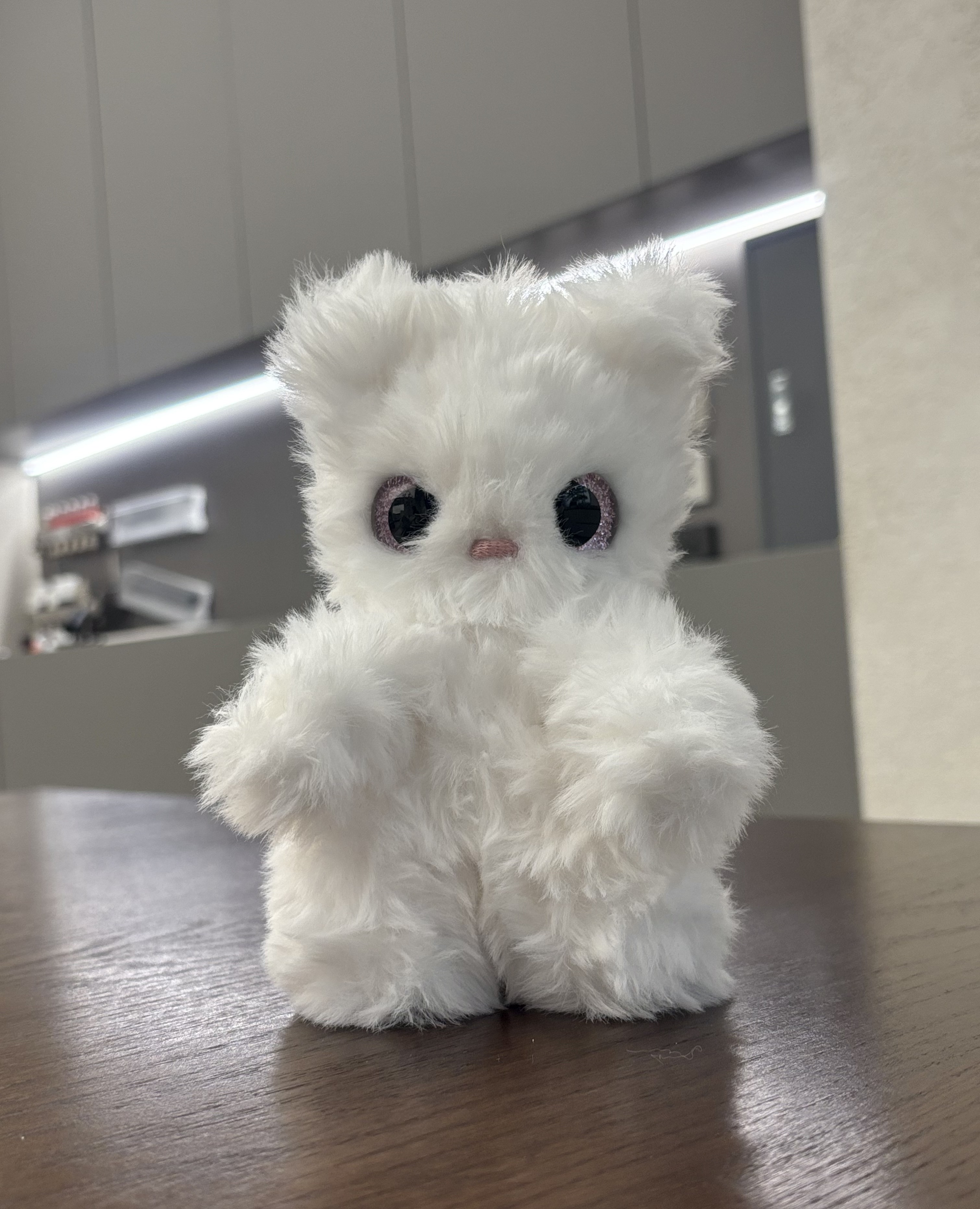 Cat Pink 10