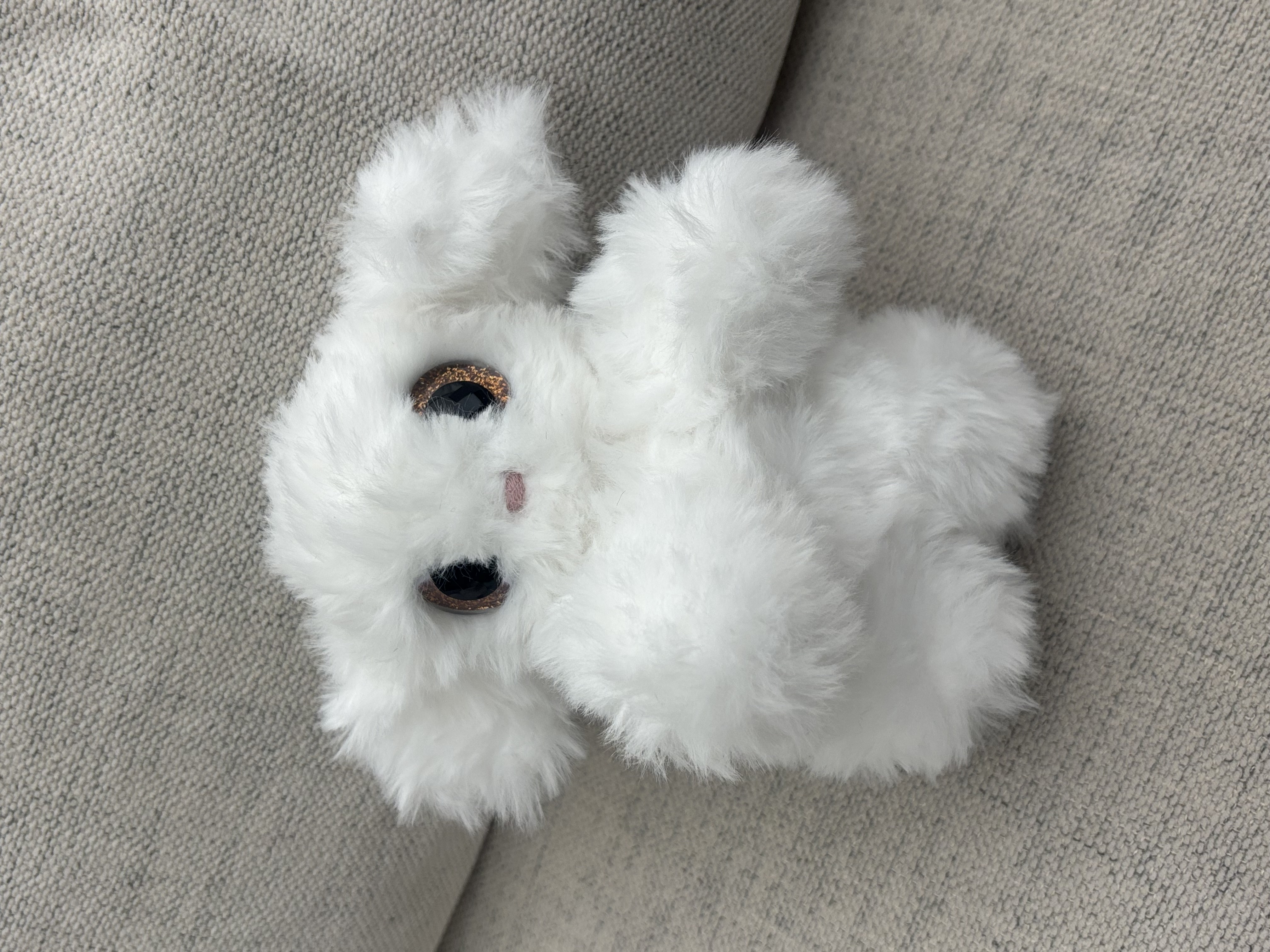 Puppy 2