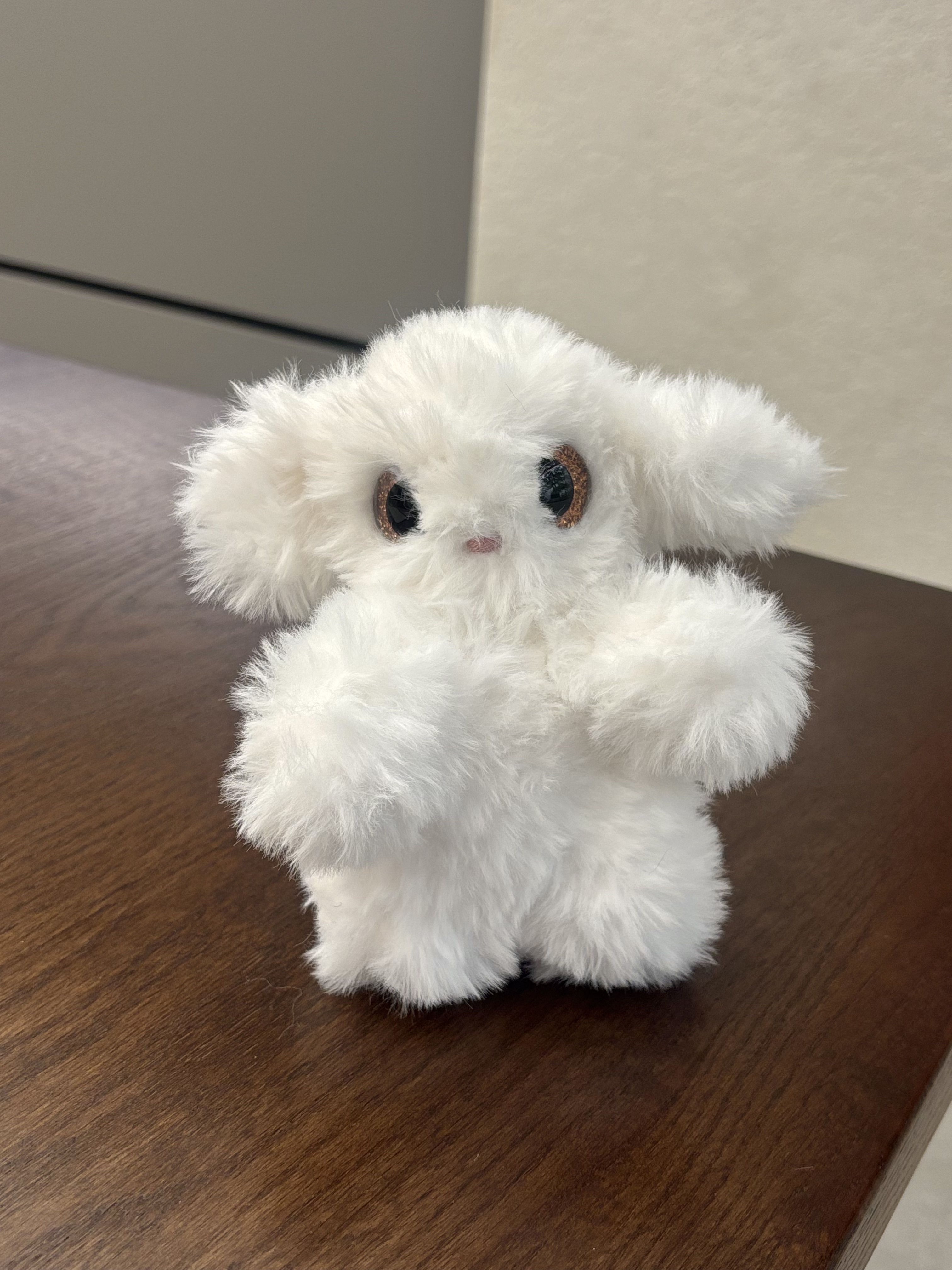 Puppy 5