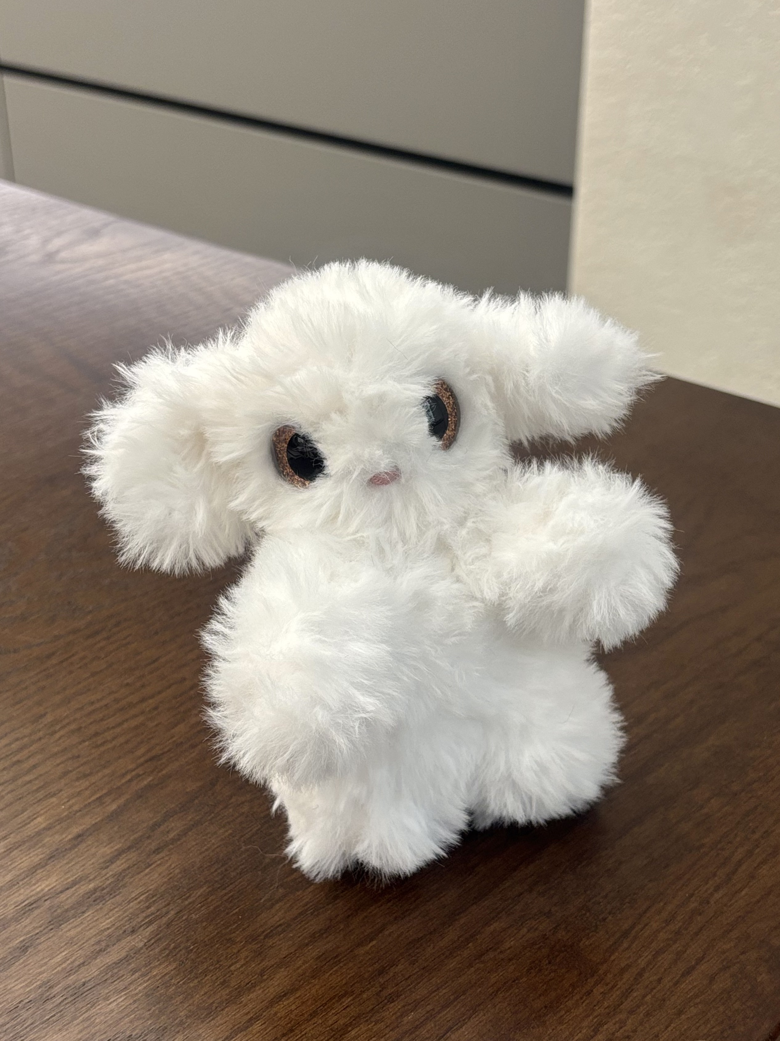 Puppy 7